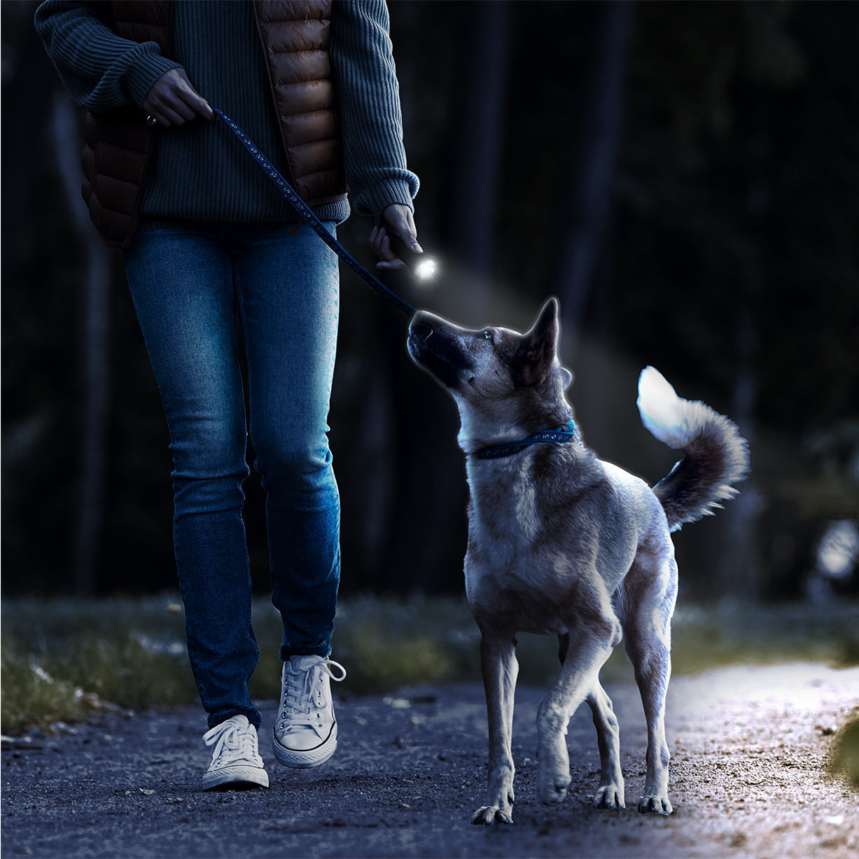GP Everyday C105 lommelygte – 50 lumen - Billede 7